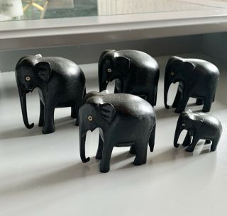 Antique Herd / Family Group Of Carved Ebony Wooden Elephants Sizes Small - Large