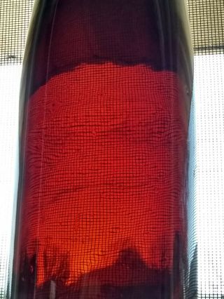 Red Color Antique Hock Wine Bottle Colored Bottles 1800 