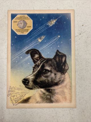 Rare Vintage Soviet Space Dog Post Card / Russia / Russian