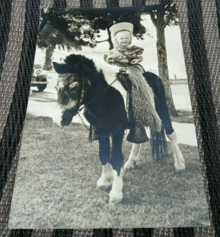 Antique 1938 Vintage Photo Picture Horse Pony Buffalo Chaps California