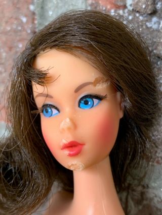 Vintage Mod Barbie Tnt Brunette Extreme Tlc For Ooak Or Parts