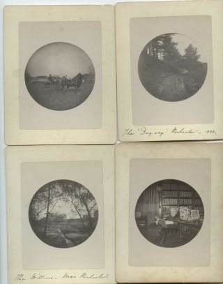 1880s Four Rare Albumen Kodak No 1 Round Photos Horse Library Rochester York