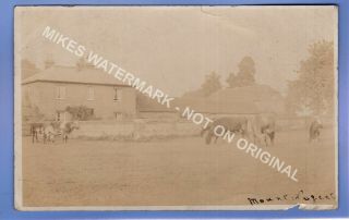 Rare 1908 Farm Mount Nugent Chesham Buckinghamshire Rp Photo Postcard