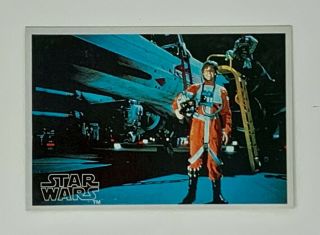 Rare Vintage 1977 Star Wars Luke Skywalker Topps Yamakatsu Lucky Trading Card