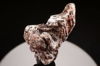 RARE Native Lead & Allactite Crystal LANGBAN,  SWEDEN - Ex.  Van Tichelen 2