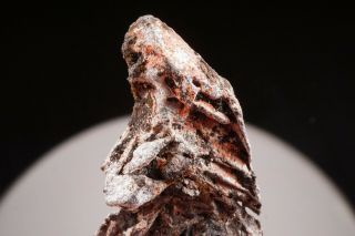 RARE Native Lead & Allactite Crystal LANGBAN,  SWEDEN - Ex.  Van Tichelen 3