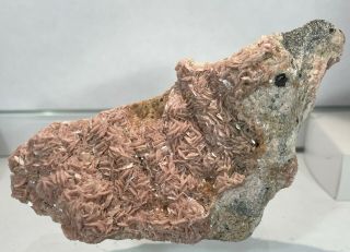 Pink Rhodochrosite Crystals :eagle Mine,  Gilman,  Colorado - Rare