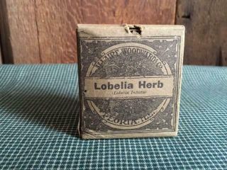Antique Lobelia Herb Apothecary Pharmacy Doctor 