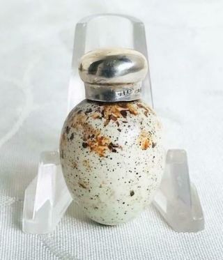 Rare Antique Miniature Mcintyre Porcelain Egg Perfume Scent Bottle Silver Lid