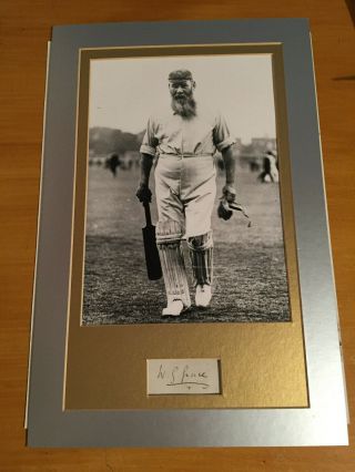 1880 Authentic Signed Wg Grace Album Piece Along With Rare Young Photograph