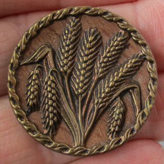 1 3/16 " Antique 2 - Piece Brass Button W Wheat Image & Wood Background,  Bbb Pg 794
