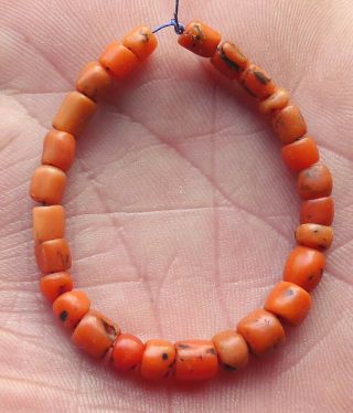 Perles Corail Ancien Collier Maroc Berbère Antique Ethnic Coral Beads Morocco