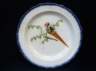 Rare 19thc Georgian Pearlware Blue Featheredge Peafowl Prattware Plate C1810 - 2