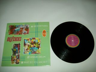 Buzzcocks Are Everything Rare 6 - Track 12 " Canada Punk Wave Nm