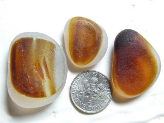 3 Multi L - Xl Amber Gld Orange Nut 1oz Jq Rare Seaham English Sea Glass