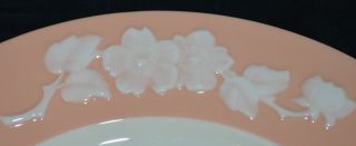 Six Rare Lenox Coral Apple Blossom Dinner Plates (green backstamp) - Very Good, 3