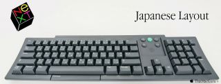 Next Computer Rare Japanese Keyboard - Black Apple Macintosh Mac Adb Nos