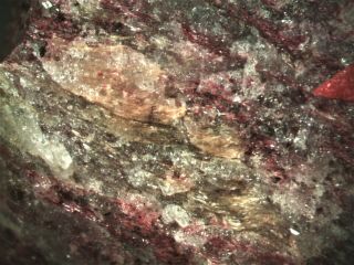 Ardennite Vanadium Piemontite Rare Mineral Miniature From Italy