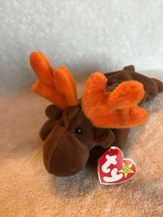 Charity Fundraiser Ty Beanie Babies Chocolate 1993 Pvc Mwmt Rare Retired Vintage