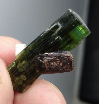 24 Ct Very Rare Green Tourmaline Crystal With Red Color Tantalite @ Afghanistan