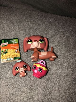 Littlest Pet Shop Lps Rare Mommy And Baby Set Dachshund Dog Blemished