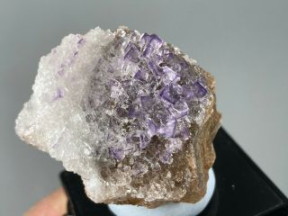 34mm Rare Purple Yttrofluorite With Gypsum On Matrix From China
