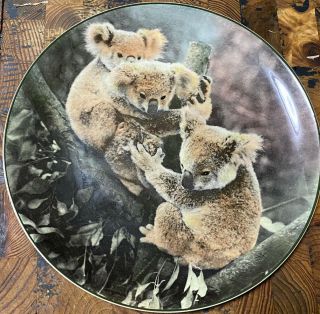 Royal Doulton Koala Bears Plate,  Rare Collectible Australian Made In England