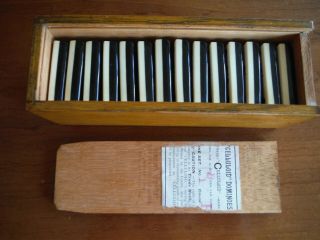Very Rare Old Set Of Celluloid Dominoes - Ivory & Black - Late 1800 