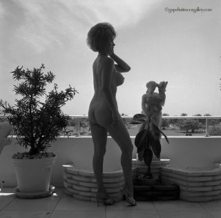 Bunny Yeager 1960s Camera Negative Cult Movie B - Movie Film Star Christy Foushee