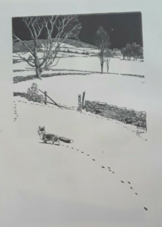 Frances Lee Jaques - " Fox " - Wildlife Print - Offset Lithograph 11.  5x10