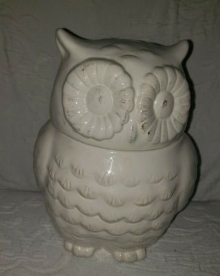 Better Homes And Garden Antique White Owl Cookie Jar