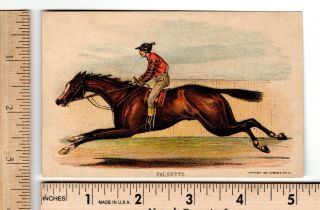 C&i Falsetto Thoroughbred Horses 1881 No Advertising Currier & Ives Trade Card