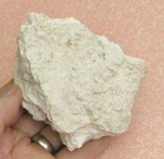 Large Specimen Of Caliche From Lincoln Co. ,  Nevada