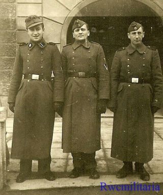 Rare Trio German Elite Waffen Latvian Legion Soldiers In Coats On Street