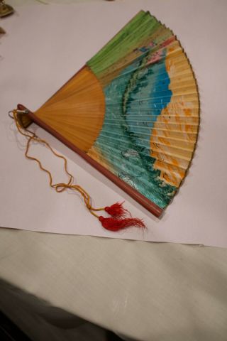 Antique Fan Vintage Chinese Silk Hand - Painted With Tassel