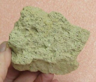 Mineral Specimen Of Pumice From Wasco Co. ,  Oregon
