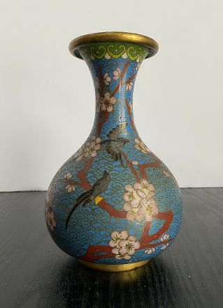 Antique Chinese Cloisonne Vase Blue Ground Early 20th Century Cherry Blossoms