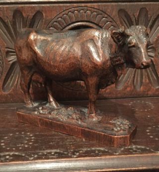 Rare Antique Black Forest Carved Cow - Well Detailed Antique Wooden Carving