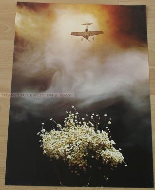 Sam Haskins - Airplane Flowers Very Rare Poster From 1972 Camera