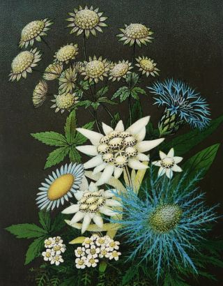 Bouquet Of Flowers.  Antique Lithograph From 1880.  Botany.  140 Years Old Print.
