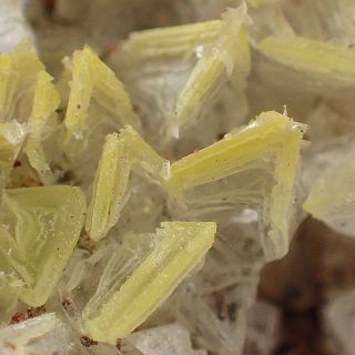 Arsenolite Fine Crystals On Matrix Rare Saxonia,  Germany