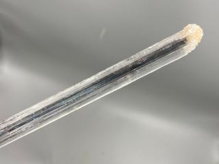 220mm Rare Stibnite In Gypsum On Matrix From China