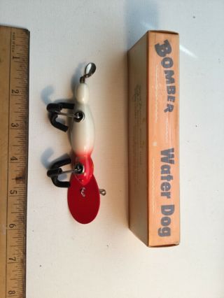 Wood Bomber Waterdog 1604 Red/white With Papers.