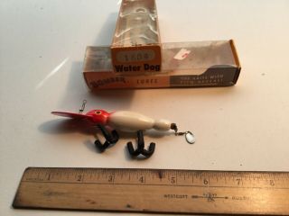 WOOD BOMBER waterdog 1604 RED/WHITE WITH PAPERS. 2