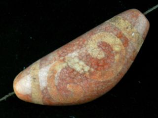 Fine Rare Old Tibetan Agate Dzi Money Hook Horn Bead F165