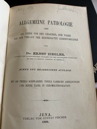Rare Early Medical Pathology Anatomy Freaks Oddities Surgery Ziegler 1895