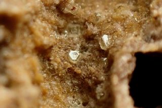 Roedderite Fine Crystals On Matrix Rare Emmelberg,  Germany
