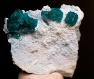 Rare Dioptase On Plancheite,  Tsumeb Mine,  Namibia.  Ex.  Coll.  Clive Queit