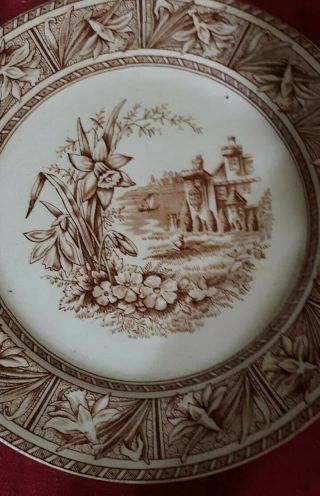 Antique W H Grindley Brown Transferware Plate Daffodil Pattern