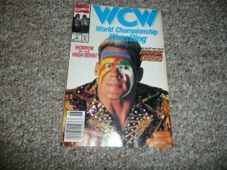 Wcw World Championship Wrestling 3 Sting Rare